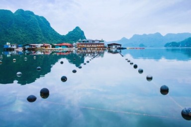 Halong Bay - Tung Sau Pearl Farm (B, L, D)